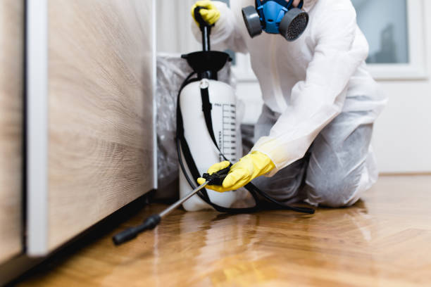 Best Exterminator Services  in Arabi, LA