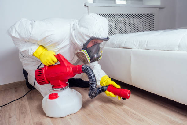 Best Pest Control for Businesses  in Arabi, LA