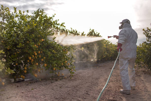 Trusted Arabi, LA Pest Control Experts