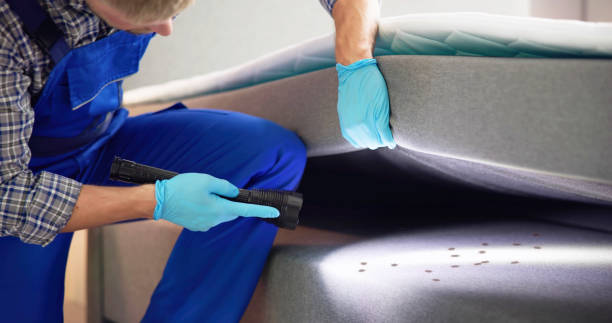 Best Termite Control Services  in Arabi, LA